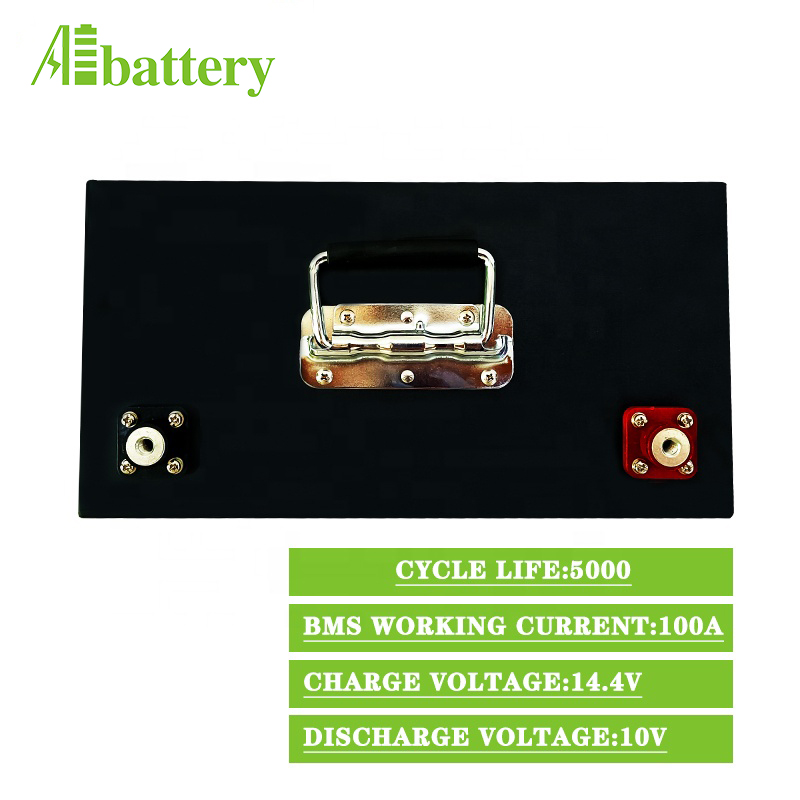12V 100Ah deep cycle lithium ion batteries BMS built-in Long life lifepo4 battery pack